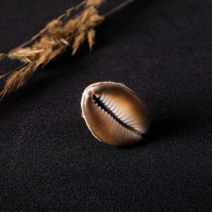 Bague Coquillage Cauri